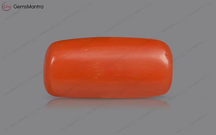 Red Coral - 3.5 Carats