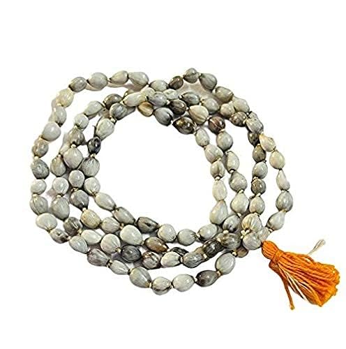 Vaijayanti