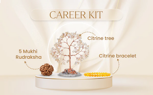 Career Kit