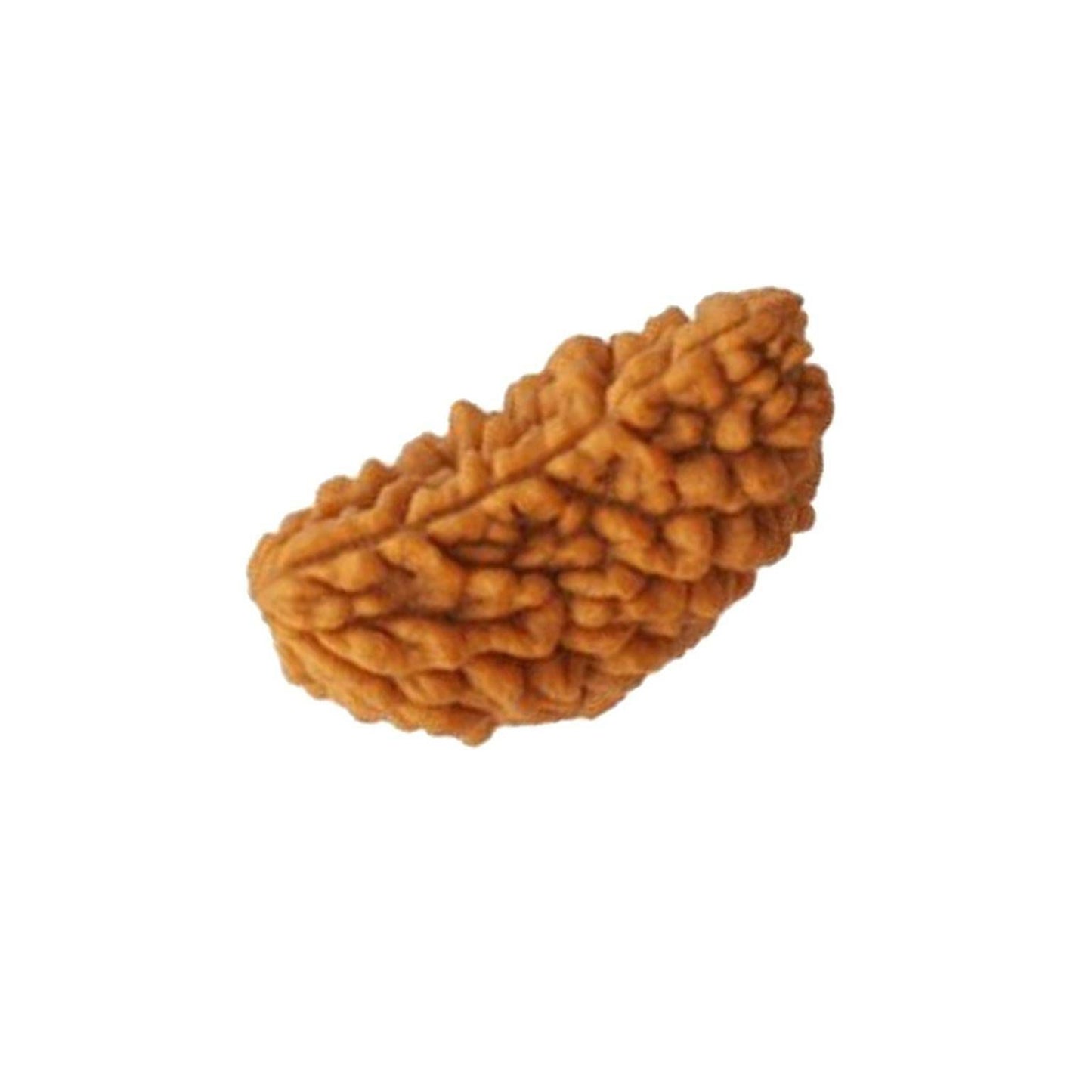 Ek Mukhi Kaju