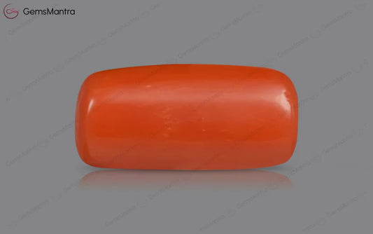 Red Coral - 3.5 Carats