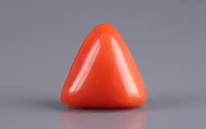 Red Coral - 2.76 Carats